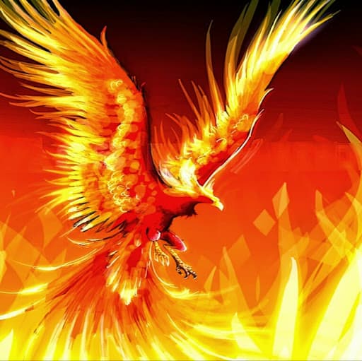 Profile image for Fahim Skj